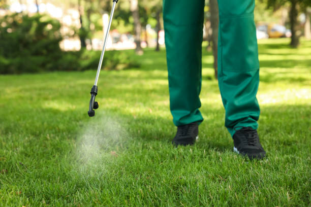 Best Wasp Removal Services  in Camp Barrett, VA