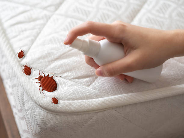 Best Commercial Pest Control Services  in Camp Barrett, VA
