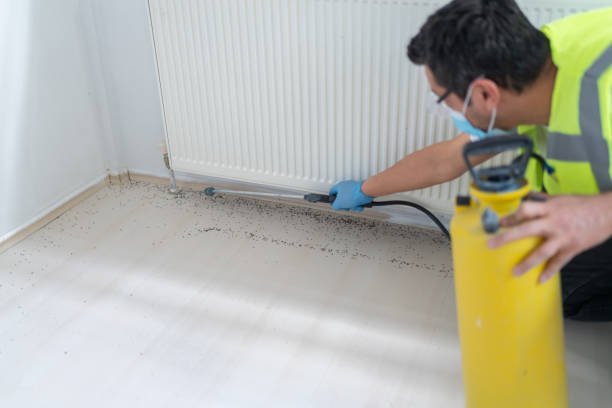 Best Affordable Pest Control Services  in Camp Barrett, VA